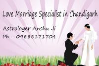 Bestvashikaranastro - Love Marriage Specialist  image 1